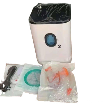 Export overseas 96% oxygen concentrator 10l oxygen generator medical